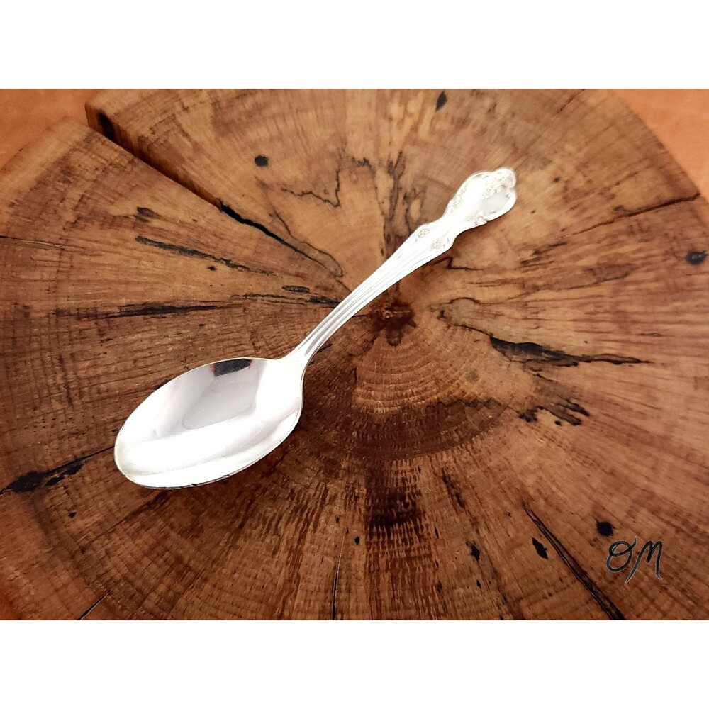 Rogers & Bro. Silver Plated Southern Splendor VTG 6" Teaspoon - 1962